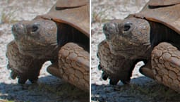 Corel AfterShot Pro - Local Contrast