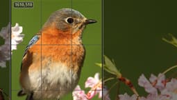 Corel AfterShot Pro - Powerful adjustments
