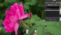 Corel AfterShot Pro - Precise control with Selective Editing