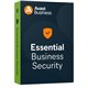 Avast Essential Business Security - 2 Years License