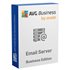 AVG Email Server Business Edition - 2 Years License