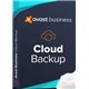 Avast Business Cloud Backup - 100GB - 1 Year License