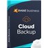 Avast Business Cloud Backup - 100GB - 1 Year License