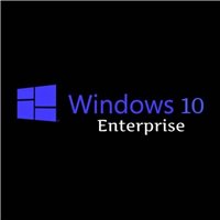 Microsoft Windows 10 Enterprise N LTSC 2021 Upgrade DG7GMGF0D19M0001
