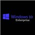 Microsoft Windows 10 Enterprise LTSC 2021 Upgrade DG7GMGF0D19L0001