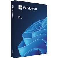 מערכת הפעלה Microsoft Window Pro 11 - ESD - Online Download - FQC-10572