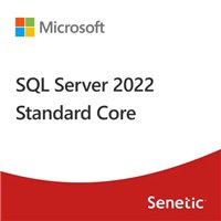 Microsoft SQL Server 2022 - User CAL DG7GMGF0MF3T0002