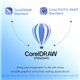CorelDRAW Standard 2025 Full License - Electronic download - קורל דרו