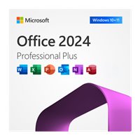 Office Professional Plus 2024 Perpetual License Gov 79P-05738