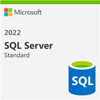 Microsoft SQL Server 2022 Standard Edition DG7GMGF0M80J0002