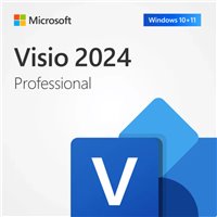 תוכנת מיקרוסופט ויזיו פרו - Microsoft Visio Professional 2024 LTSC License - DG7GMGF0PN430002