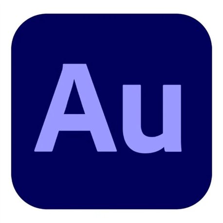 Adobe Audition - Edition 4 for enterprise - GOV - Subscription - 1 User - 1 Year - 30002185CC01A12