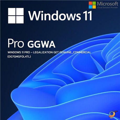 Microsoft Windows GGWA - Windows 11 Pro N - Legalization Get Genuine - commercial - DG7GMGF0L4TL