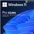 Microsoft Windows GGWA - Windows 11 Pro N - Legalization Get Genuine - commercial - DG7GMGF0L4TL