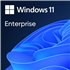 Microsoft Windows 11 Enterprise N LTSC 2024 Upgrade - commercial - DG7GMGF0PP45