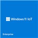 Microsoft Windows 11 IoT Enterprise LTSC 2024 - commercial - DG7GMGF0PP49