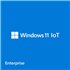 Microsoft Windows 11 IoT Enterprise LTSC 2024 - commercial - DG7GMGF0PP49