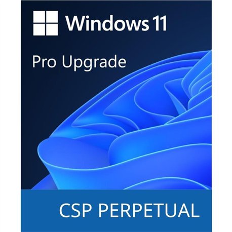 Microsoft Windows 11 Pro N Upgrade - commercial - DG7GMGF0D8H3