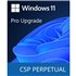 Microsoft Windows 11 Pro N Upgrade - commercial - DG7GMGF0D8H3