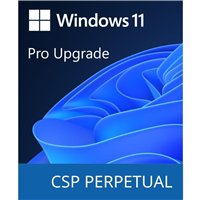 Microsoft Windows 11 Pro Upgrade - commercial - DG7GMGF0D8H4