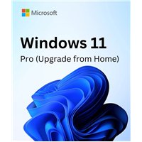 Microsoft Windows 11 Home N to Pro N Upgrade for Microsoft 365 Business - commercial - DG7GMGF0D8H3