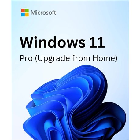 Microsoft Windows 11 Home N to Pro N Upgrade for Microsoft 365 Business - commercial - DG7GMGF0D8H3