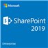 Microsoft SharePoint Enterprise 2019 User CAL - commercial - DG7GMGF0F4LV