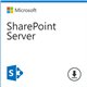 Microsoft SharePoint Server 2019 - commercial - DG7GMGF0F4LT