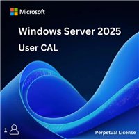 Microsoft Windows Server 2025 - 1 User CAL - commercial - DG7GMGF0PWHT