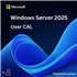 Microsoft Windows Server 2025 - 1 User CAL - commercial - DG7GMGF0PWHT