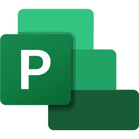 Microsoft Project Server 2019 - commercial - DG7GMGF0F4MH