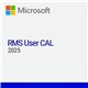 Microsoft Rights Management Services (RMS) 2025 CAL - 1 User - commercial - DG7GMGF0PWHF