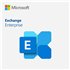 Microsoft Exchange Server Enterprise 2019 - commercial - DG7GMGF0F4MF