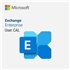 Microsoft Exchange Server Enterprise 2019 User CAL - commercial - DG7GMGF0F4MD