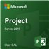 Microsoft Project Server 2019 User CAL - commercial - DG7GMGF0F4LF