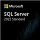 Microsoft SQL Server Standard 2022 - 2 Core License Pack - 1 Year - subscription - DG7GMGF0M7XW
