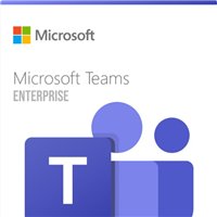 Microsoft Teams Enterprise - 1 Month Subscription - commercial - CFQ7TTC0MZJF:0009