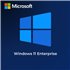 Microsoft Windows 11 Enterprise E5 - 1 Month Subscription - commercial - CFQ7TTC0LFNW:0002