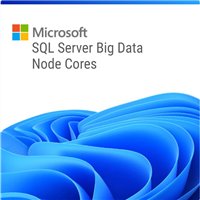 Microsoft SQL Server Big Data Node Cores - 1 Year Subscription - subscription - DG7GMGF0FKZX