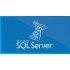 SQL Server 2019 CAL Open License Gov User CAL 359-06886