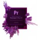 תוכנת Adobe Premiere Pro CC Full License 1 Year 65297627BA01A12