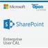 Microsoft SharePoint Enterprise CAL 2019 Perpetual License Device CAL DG7GMGF0F4LV0003