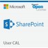 Microsoft SharePoint Standard CAL Perpetual License Gov User CAL 76M-01707