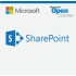 Microsoft SharePoint Server 2019 Perpetual License Academic EDU-DG7GMGF0F4LT0002