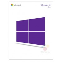 Windows 10 Pro Upgrade Perpetual License FQC-09525