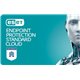 ESET Endpoint Protection Standard Cloud For 25 Users 1 Year 