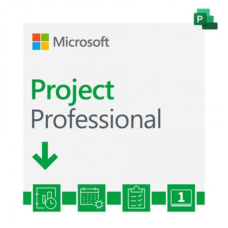 Microsoft Project Professional 2021 LTSC Open License DG7GMGF0D7D70001