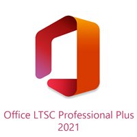 Office Professional Plus 2021 Perpetual License Gov 79P-05738