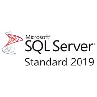 Microsoft SQL Server 2019 Standard Open License Gov 228-11487