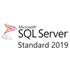 Microsoft SQL Server 2022 Standard Perpetual License Gov 228-11487